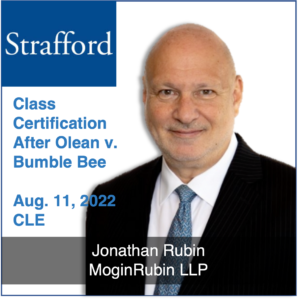 Jonathan Rubin on Class Certification Webinar